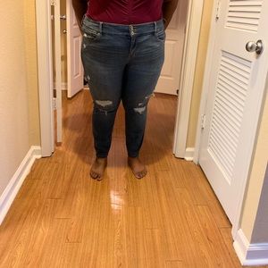 Torrid Premium Distressed Jegging